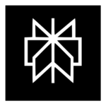 perplexity ai