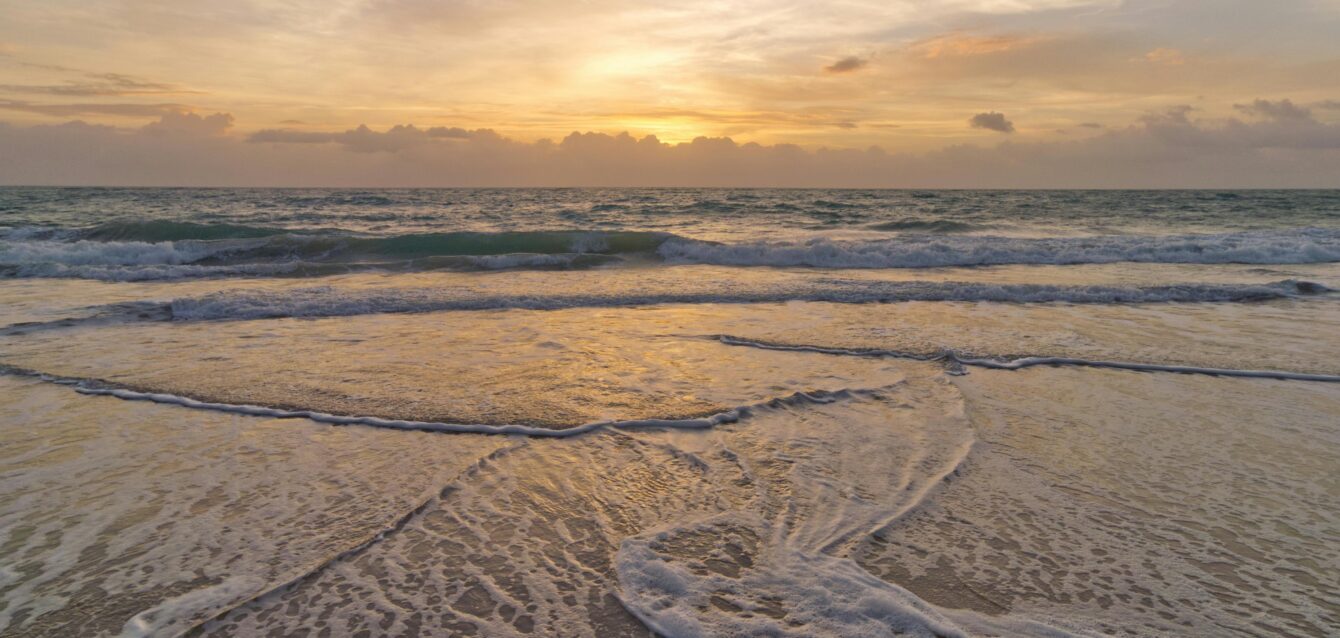 vero beach SEO service