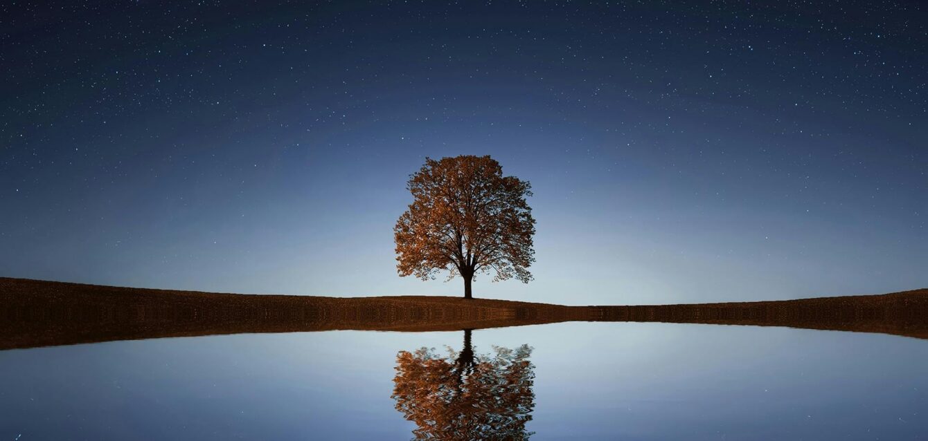 Best Inbound Call Tracking Service Best Inbound Call Tracking Service