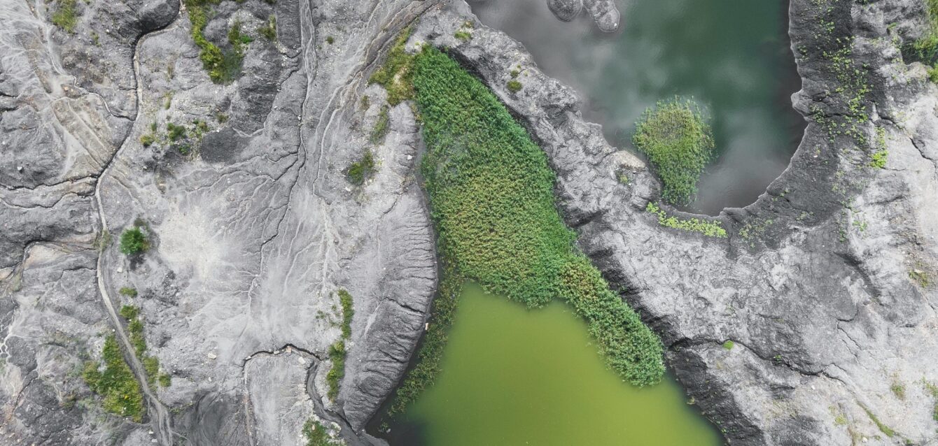 CallRail vs. RingCentral