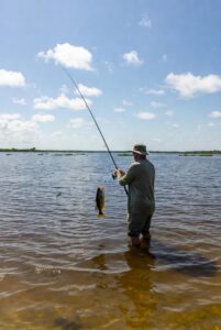 okeechobee bass fishing