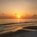 fractional CMO in Vero Beach