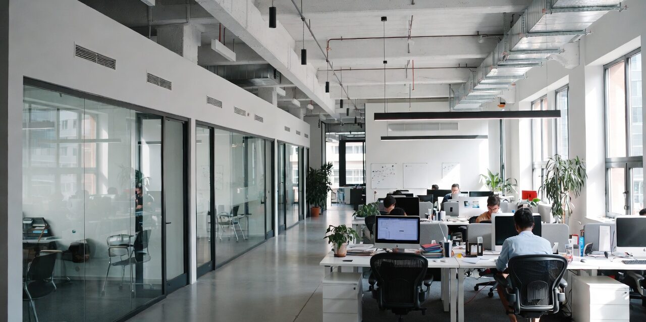 startup cmo